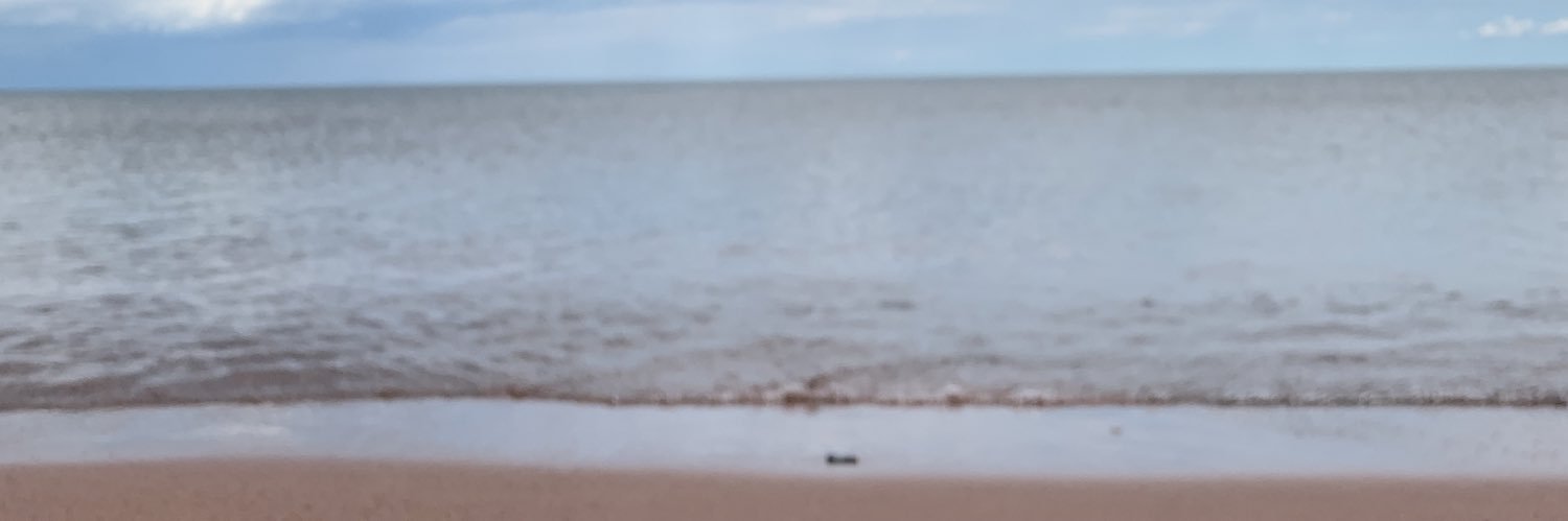 thighs “thickums” mcgee banner