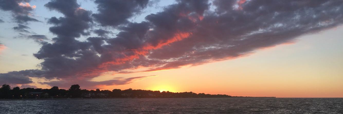 lisag0nz's profile banner image
