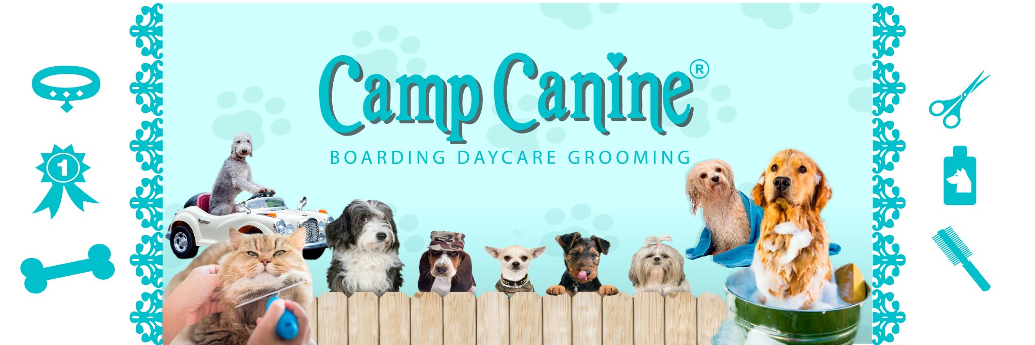 campcanine's profile banner image