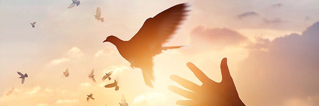 LaKeishia Esene banner