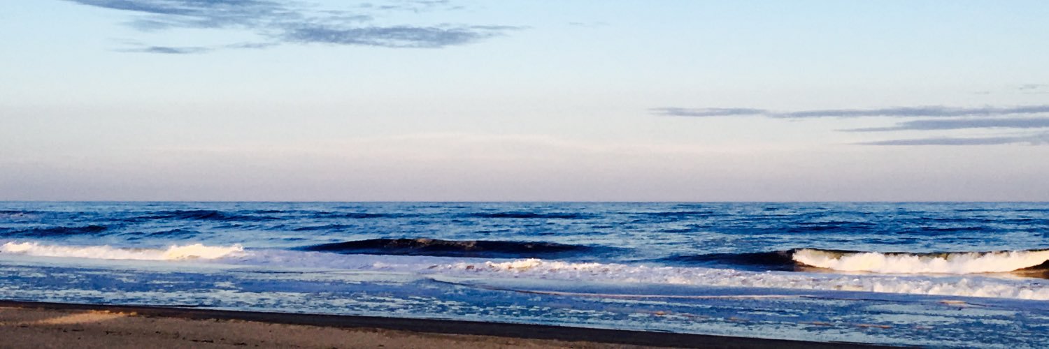 Gregg Kaminsky banner