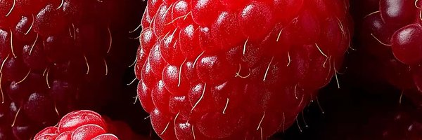 steviewunder1 Profile Banner