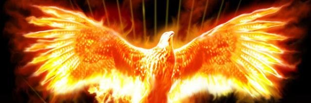 terim890's profile banner image