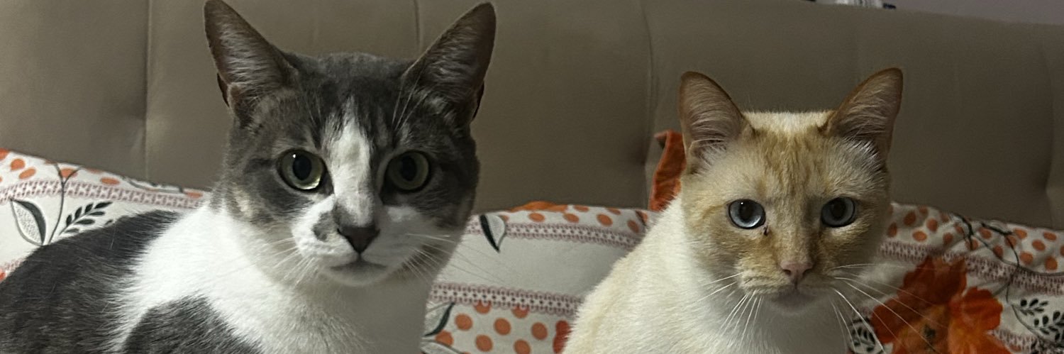 muriielfoster's profile banner image