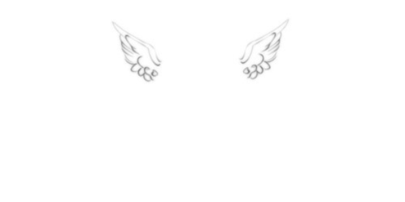 Patriotix3530's profile banner image