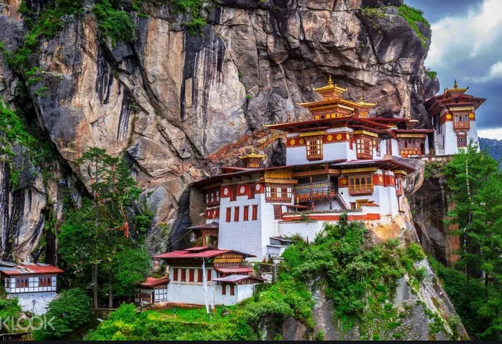 Pierre Schneider✝️🤾‍♂️🐘 banner