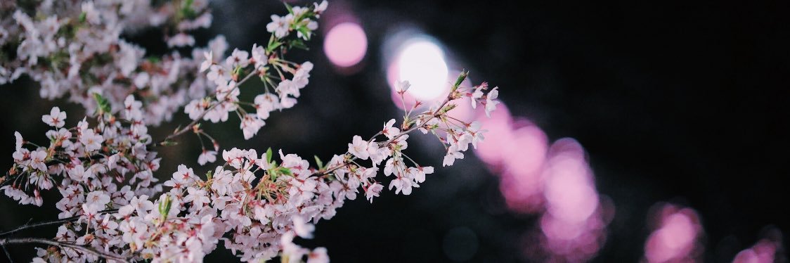 ha_co_BF's profile banner image