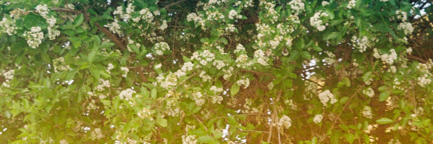 ArenoLozano's profile banner image