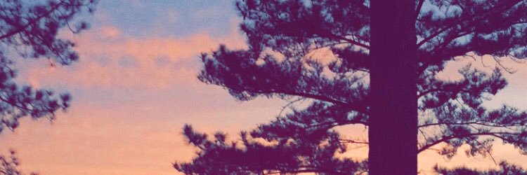 shelbi106's profile banner image