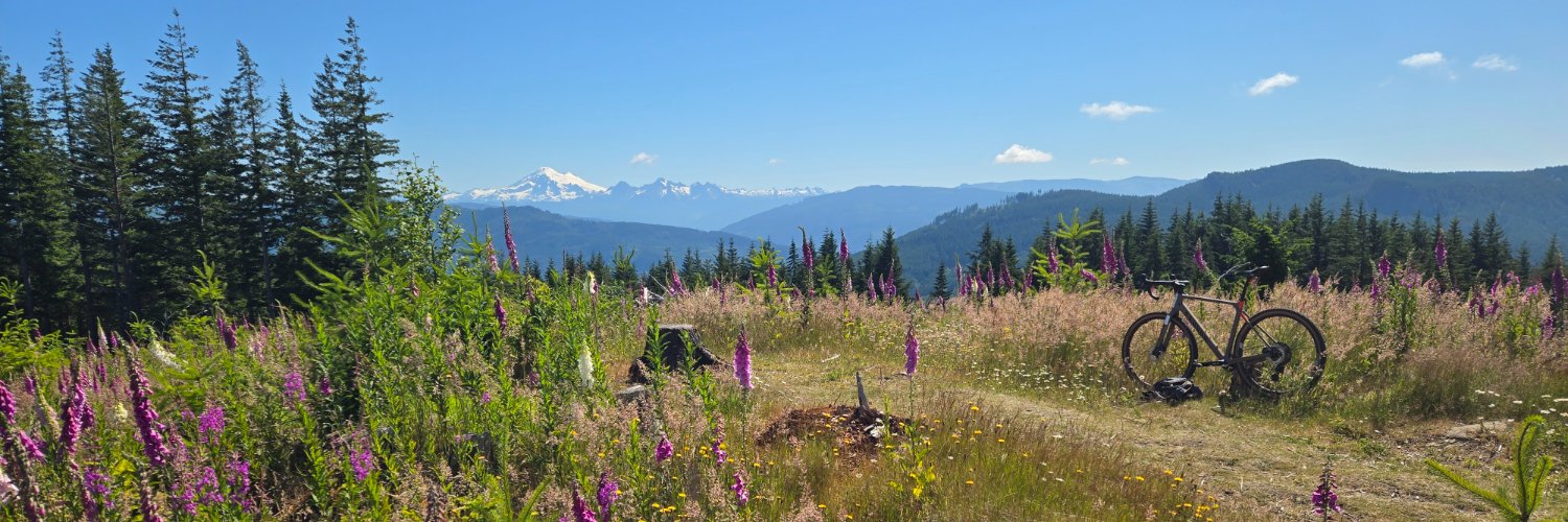 Fritz Obermeyer banner