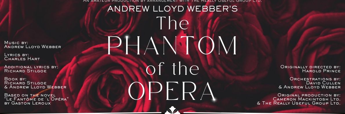 Wexford Light Opera banner