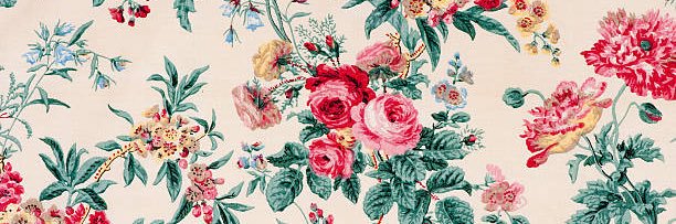 _PlantMami_'s profile banner image