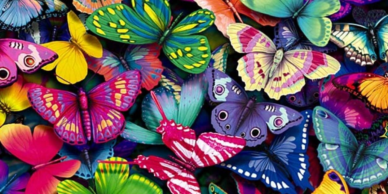 FPC - Iowa City banner