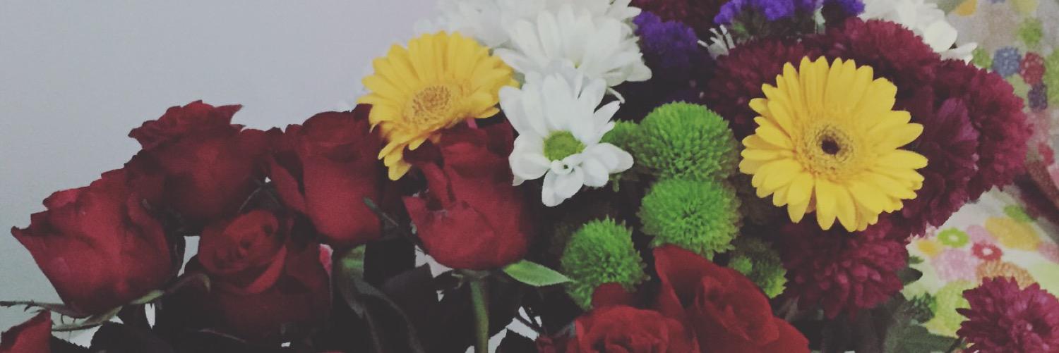 darcieaitken22's profile banner image