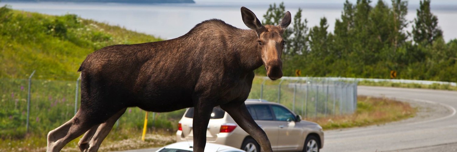 dbrooks_KTUU's profile banner image