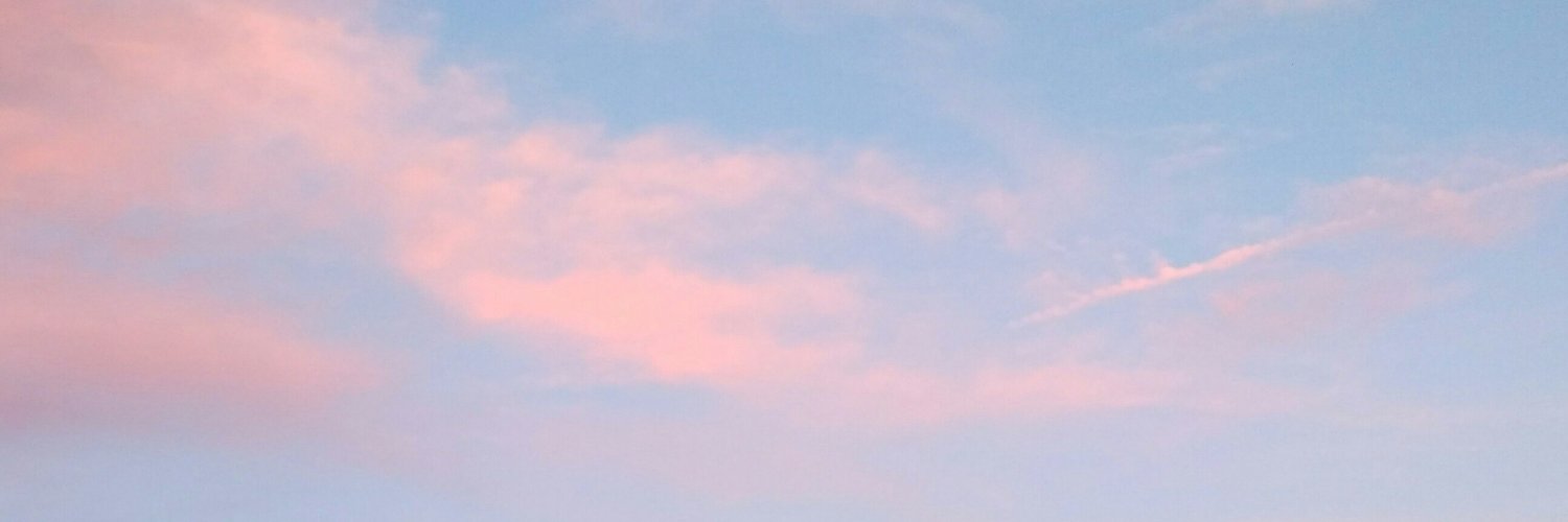 msminnk's profile banner image