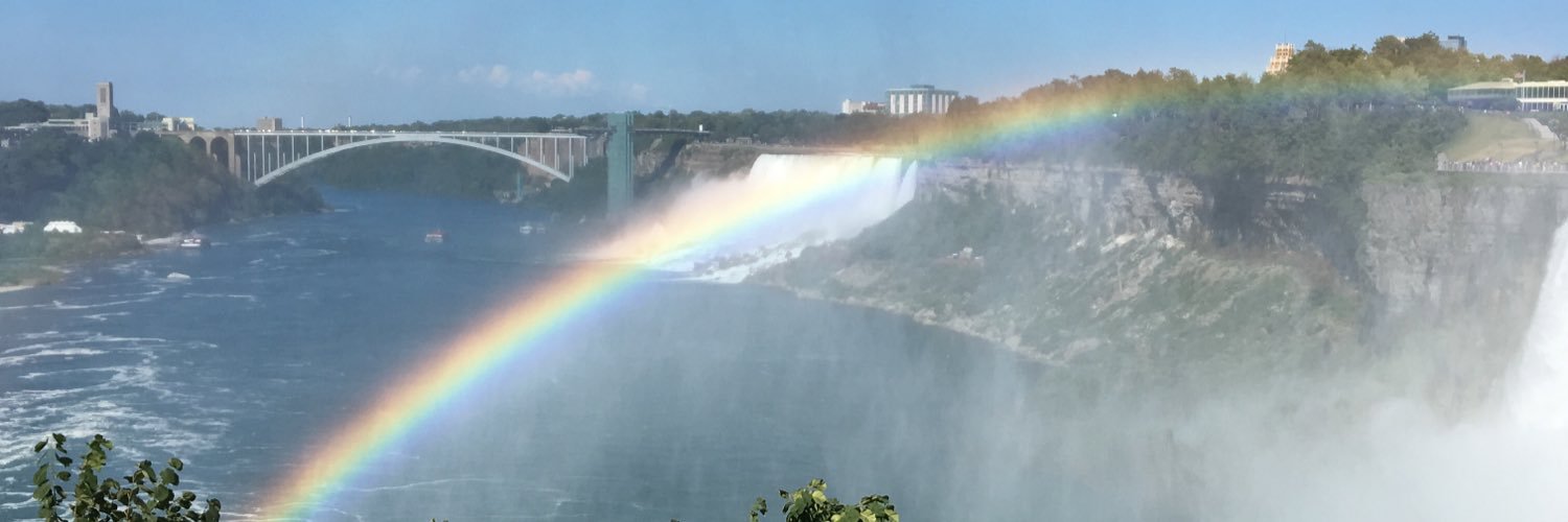LibraryLady555's profile banner image
