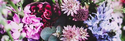 xbiancuss's profile banner image