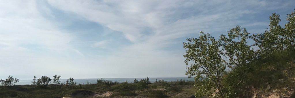 torimmason's profile banner image