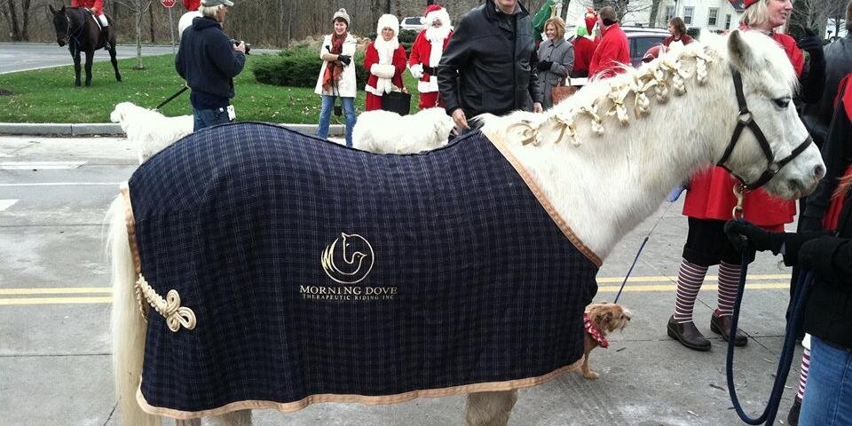 Morning Dove TRC banner