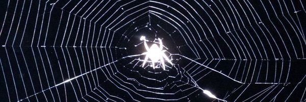 a_damp_owl Profile Banner