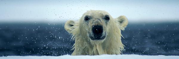 YannMael Profile Banner