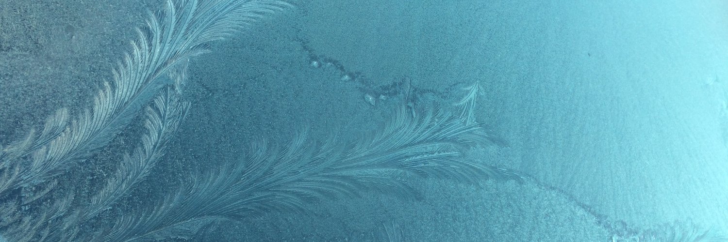BronwynWelch1's profile banner image