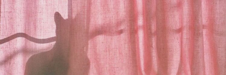 BookdeZoeyB's profile banner image