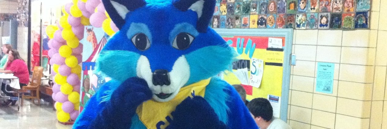 GustyFox's profile banner image