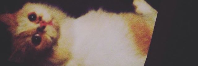 j0eyah's profile banner image