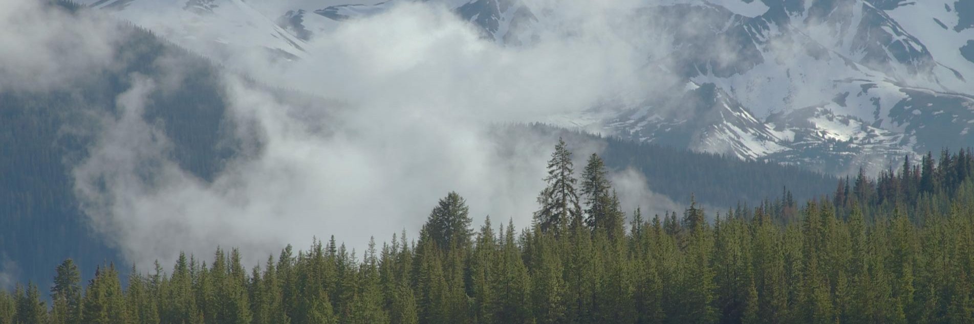 ILAlogger's profile banner image