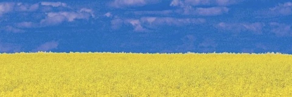MichelleWiest's profile banner image