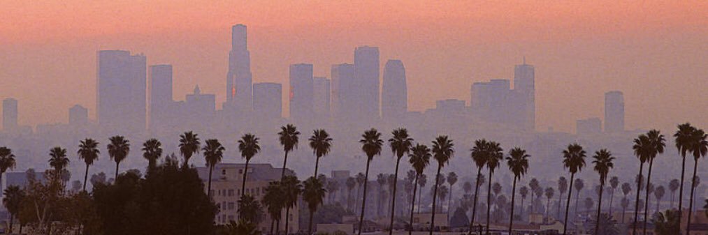 iamleafhead's profile banner image