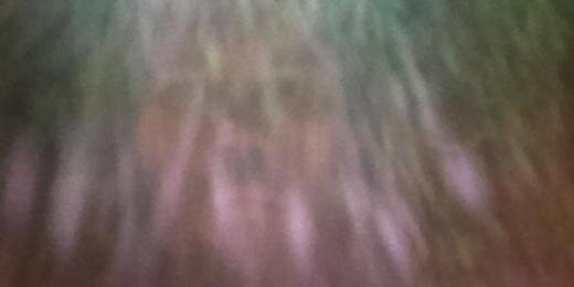 OrnEldjarn's profile banner image