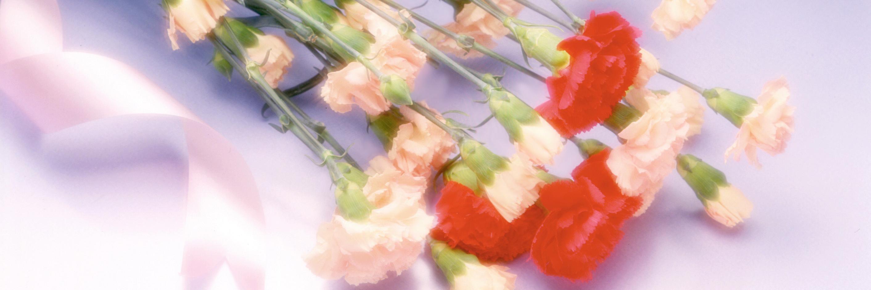 befatybemefo's profile banner image