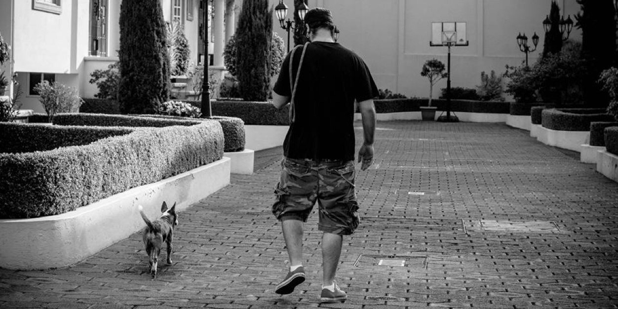 Andrei Pulver banner