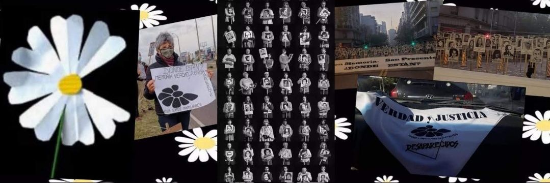 Ro‍-nieta de inmigrantes 🌱 🇺🇾💜🏳️‍🌈 banner