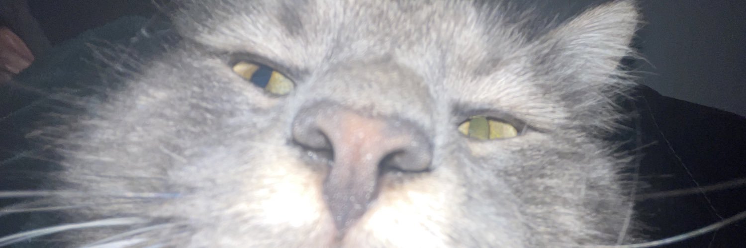 taylormweeks's profile banner image