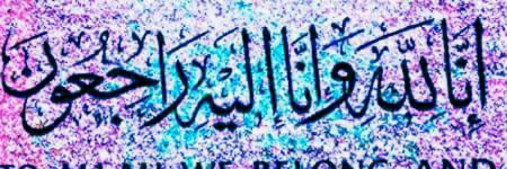 Syed Saifuddin Ali banner