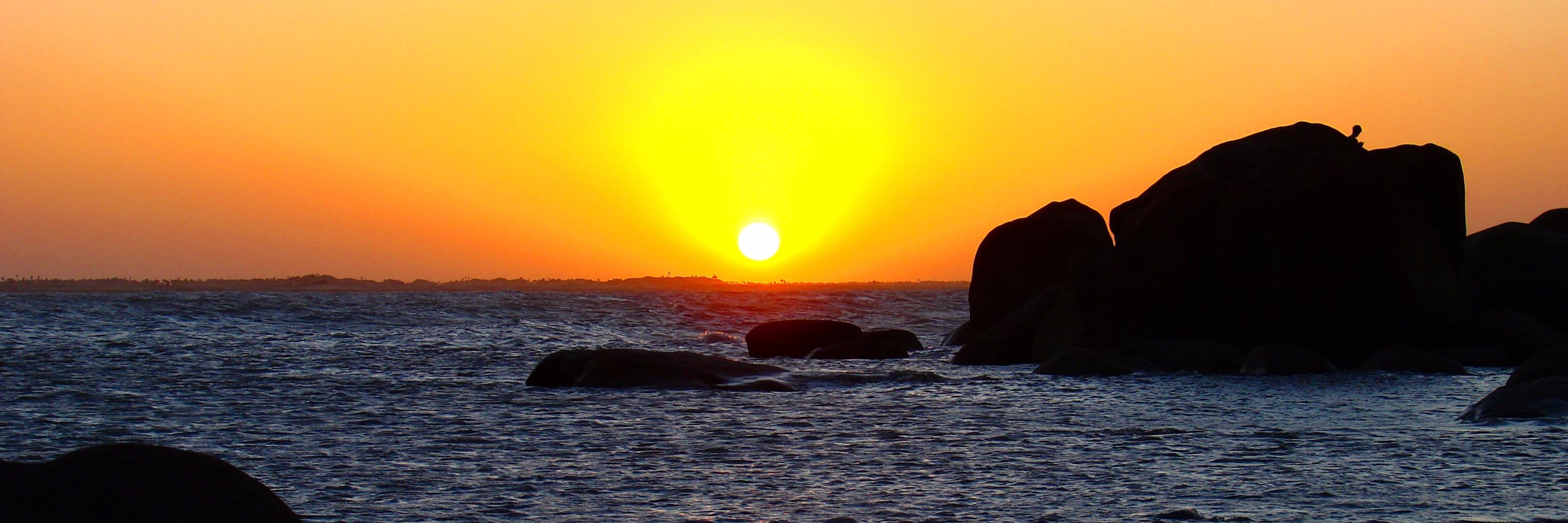 arnaldorendeiro's profile banner image