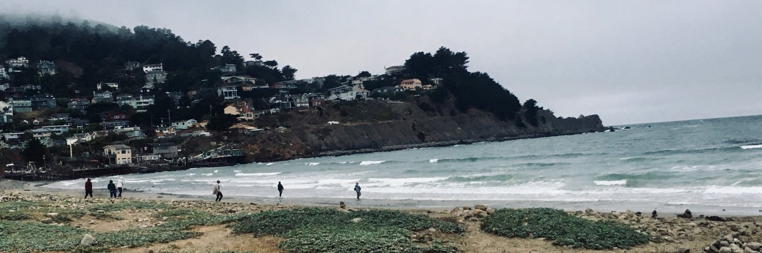 mlleech's profile banner image