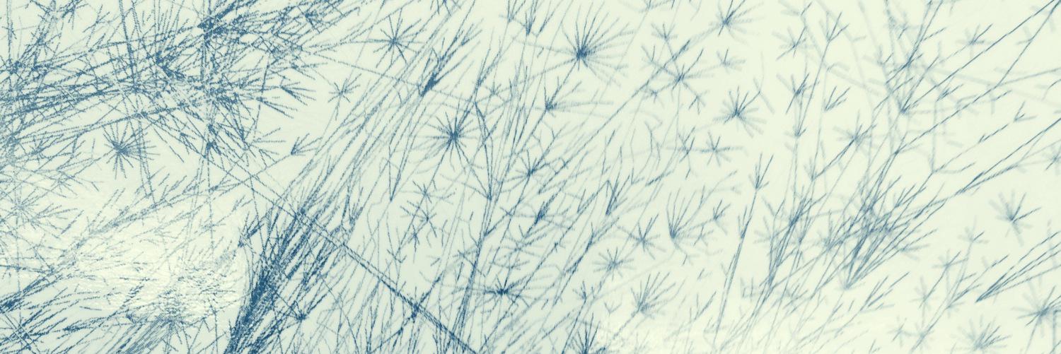 Claudia Pelzer banner