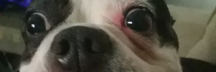 jalentheunknown's profile banner image