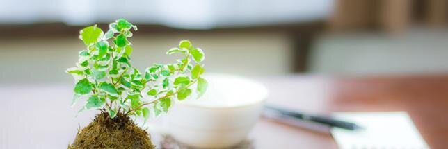 kamiooka21's profile banner image