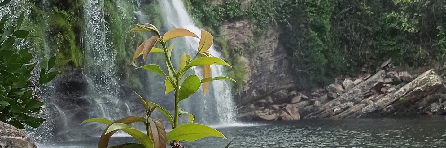 ៤ប៥៧ន 🇵🇪 banner