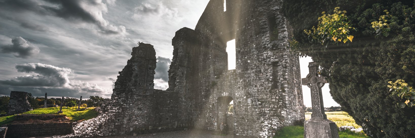 Waryen's profile banner image