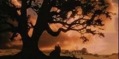 kisasera's profile banner image