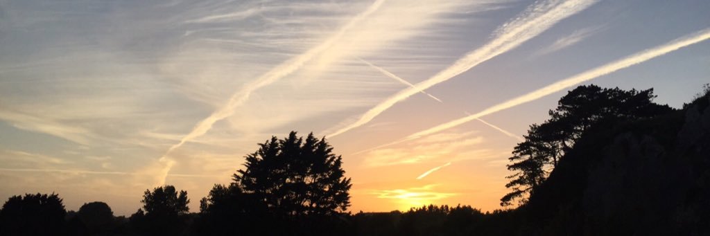 lisswoolley1's profile banner image