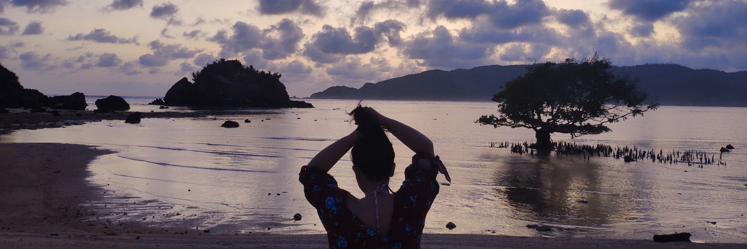 adihusjay's profile banner image
