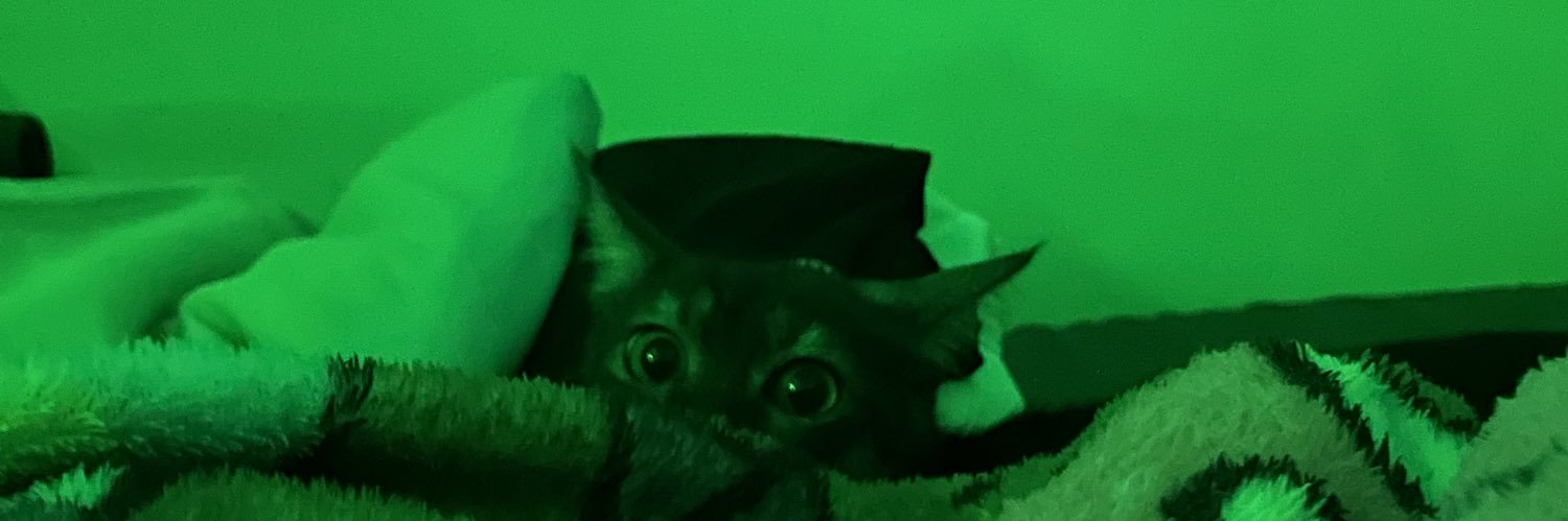 anjsntg_'s profile banner image